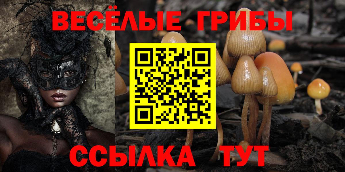 Галлюциногенные грибы ЛСД Хасавюрт