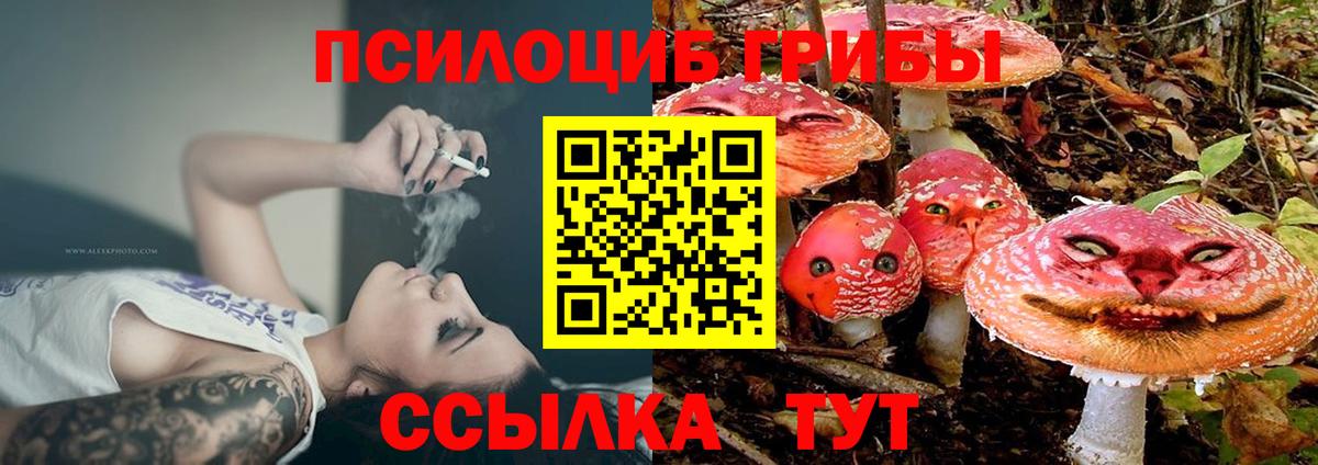 Хасавюрт  Галлюциногенные грибы Psilocybine cubensis  Вход с VPN 